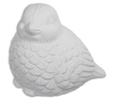 plumpbird plumpbird